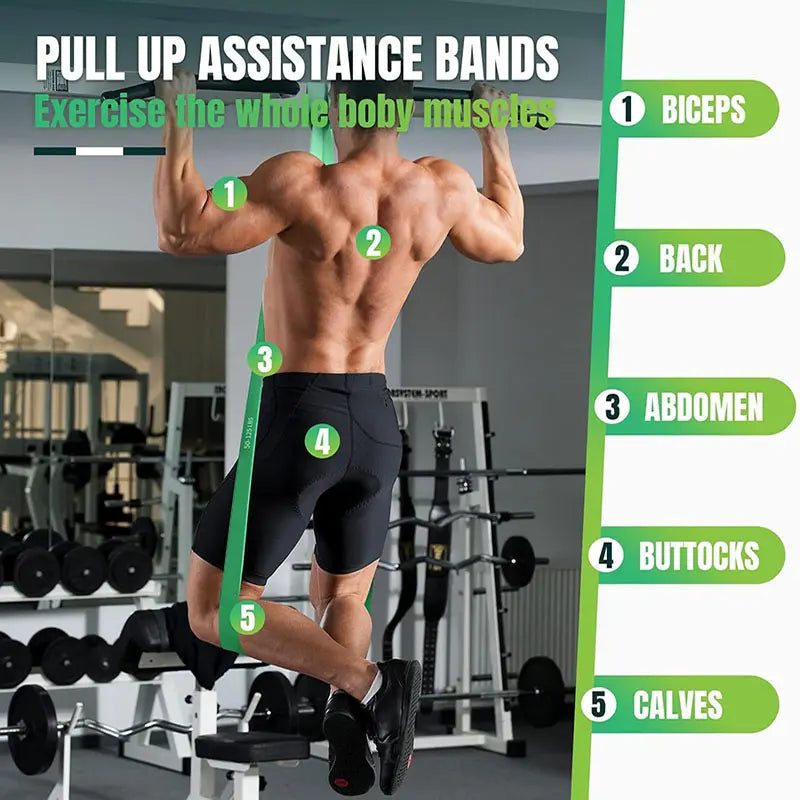 Durable Latex Resistance Bands - Calisthenics Training Equipment for Men and Women, Home Gym Kit for Assisted Pull-Up Workouts